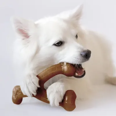 Zoomtopia Jouet bacon Jouet pour Chiens nylon mâcheur compulsif chien Zoomtopia Jouet bacon Jouet pour Chiens nylon mâcheur compulsif chien