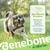 Zoomtopia Jouet bacon Jouet pour Chiens nylon mâcheur compulsif chien Zoomtopia Jouet bacon Jouet pour Chiens nylon mâcheur compulsif chien