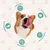 Zoomtopia Lot 2 Jouet pour Chien os à mâcher quasi indestructibles Zoomtopia Lot 2 Jouet pour Chien os à mâcher quasi indestructibles