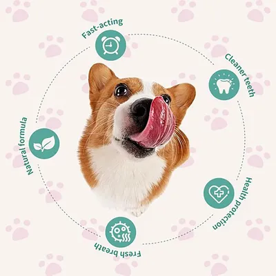 Zoomtopia Lot 2 Jouet pour Chien os à mâcher quasi indestructibles Zoomtopia Lot 2 Jouet pour Chien os à mâcher quasi indestructibles