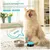 FurryFusion Boîte sonore plastique dressage canin
