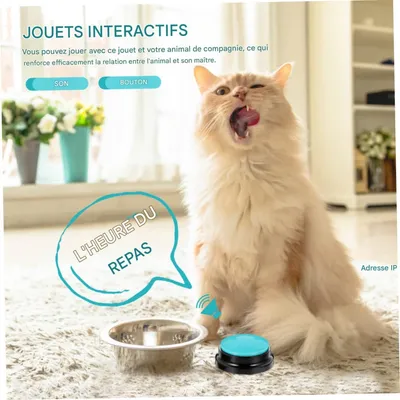 FurryFusion Boîte sonore plastique dressage canin