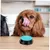 FurryFusion Boîte sonore plastique dressage canin
