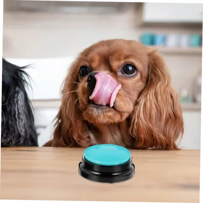 FurryFusion Boîte sonore plastique dressage canin