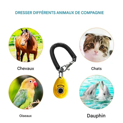 FurryFusion Sonnette d'entraînement pour chien