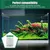 Zoomtopia Paquete de 6 cartuchos de filtro acuario: algodón carbón activado Zoomtopia Paquete de 6 cartuchos de filtro acuario: algodón carbón activado