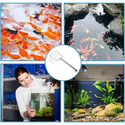 ZooVenture Épuisette Aquarium Extensible Inox ZooVenture Épuisette Aquarium Extensible Inox