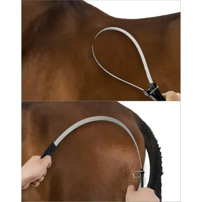 ZooVenture Pferd Fellbürste - Edelstahl, Ergonomisch, 2 Stück