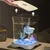 FurryFusion Aquarium pour poisson de combat FurryFusion Aquarium pour poisson de combat