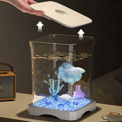 FurryFusion Aquarium pour poisson de combat FurryFusion Aquarium pour poisson de combat