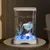 FurryFusion Aquarium pour poisson de combat FurryFusion Aquarium pour poisson de combat