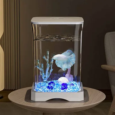 FurryFusion Aquarium pour poisson de combat FurryFusion Aquarium pour poisson de combat