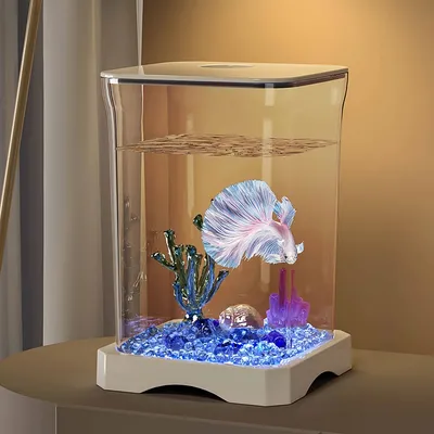 FurryFusion Aquarium pour poisson de combat FurryFusion Aquarium pour poisson de combat