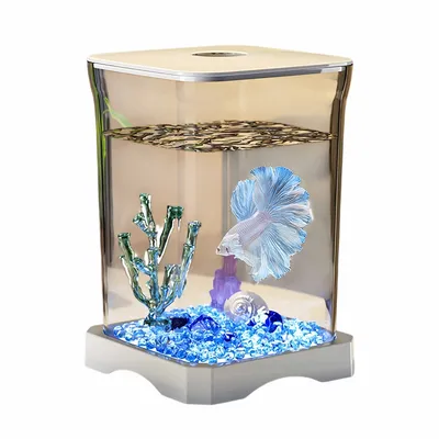FurryFusion Aquarium pour poisson de combat FurryFusion Aquarium pour poisson de combat