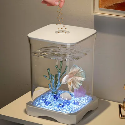 FurryFusion Aquarium pour poisson de combat FurryFusion Aquarium pour poisson de combat