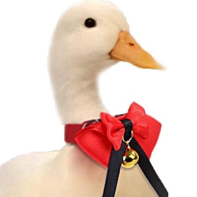 PetTribes Weihnachts-Schleifen-Fliegen für Haustiere mit Glöckchen