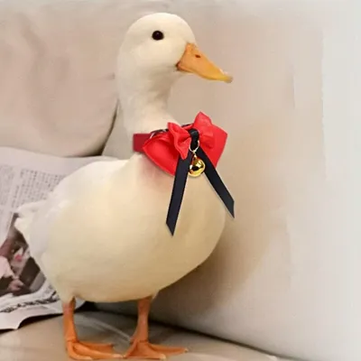 PetTribes Weihnachts-Schleifen-Fliegen für Haustiere mit Glöckchen