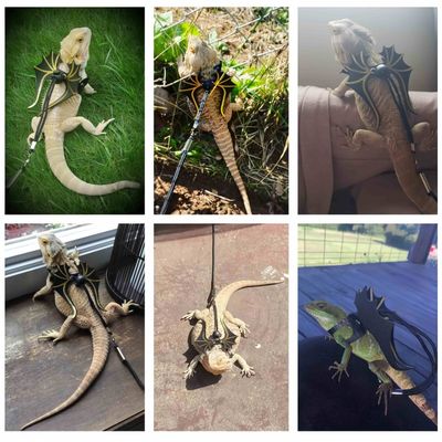 FurryFusion Arnés de tiro con forma de lagarto de dinosaurio