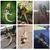 FurryFusion Harnais de traction pour lézard en forme de dinosaure FurryFusion Harnais de traction pour lézard en forme de dinosaure