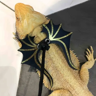 FurryFusion Harnais de traction pour lézard en forme de dinosaure FurryFusion Harnais de traction pour lézard en forme de dinosaure