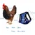 Harnais Animal PetTribes - Ensemble 2 Pièces Ajustable avec Laisse Harnais Animal PetTribes - Ensemble 2 Pièces Ajustable avec Laisse