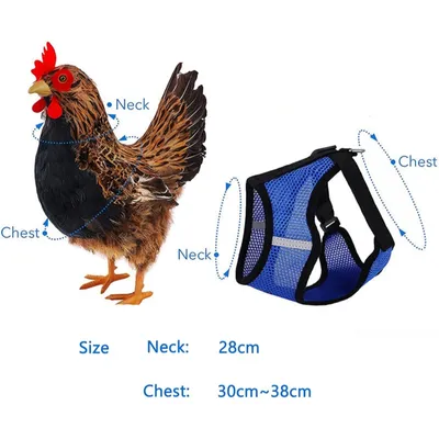 Harnais Animal PetTribes - Ensemble 2 Pièces Ajustable avec Laisse Harnais Animal PetTribes - Ensemble 2 Pièces Ajustable avec Laisse