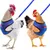 Harnais Animal PetTribes - Ensemble 2 Pièces Ajustable avec Laisse Harnais Animal PetTribes - Ensemble 2 Pièces Ajustable avec Laisse