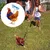 Harnais Animal PetTribes - Ensemble 2 Pièces Ajustable avec Laisse Harnais Animal PetTribes - Ensemble 2 Pièces Ajustable avec Laisse