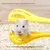 FurryFusion Accessoire multifonction pour hamsters et souris FurryFusion Accessoire multifonction pour hamsters et souris