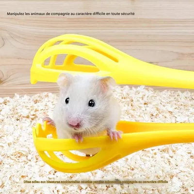 FurryFusion Accessoire multifonction pour hamsters et souris FurryFusion Accessoire multifonction pour hamsters et souris
