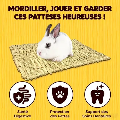 HausPets Litière en foin pour lapins, cochons d'Inde et petits rongeurs HausPets Litière en foin pour lapins, cochons d'Inde et petits rongeurs