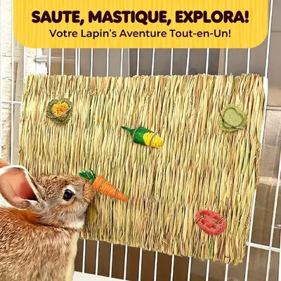 HausPets Litière en foin pour lapins, cochons d'Inde et petits rongeurs HausPets Litière en foin pour lapins, cochons d'Inde et petits rongeurs