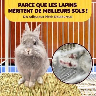 HausPets Litière en foin pour lapins, cochons d'Inde et petits rongeurs HausPets Litière en foin pour lapins, cochons d'Inde et petits rongeurs