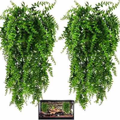 ZooVenture Plantes Reptiles - 2 Pièces, 78cm, Aquarium ZooVenture Plantes Reptiles - 2 Pièces, 78cm, Aquarium