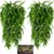 ZooVenture Plantes Reptiles - 2 Pièces, 78cm, Aquarium ZooVenture Plantes Reptiles - 2 Pièces, 78cm, Aquarium