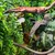 ZooVenture Plantes Reptiles - 2 Pièces, 78cm, Aquarium ZooVenture Plantes Reptiles - 2 Pièces, 78cm, Aquarium