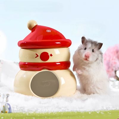 FurryFusion Maison de bonhomme de neige en céramique pour hamster