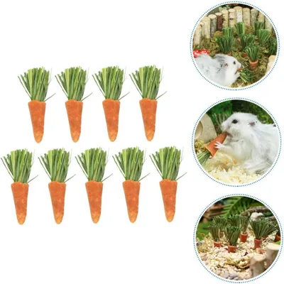 PetTribes - 9 Jouets à Mâcher Carotte Lapin Hamster Naturels PetTribes - 9 Jouets à Mâcher Carotte Lapin Hamster Naturels