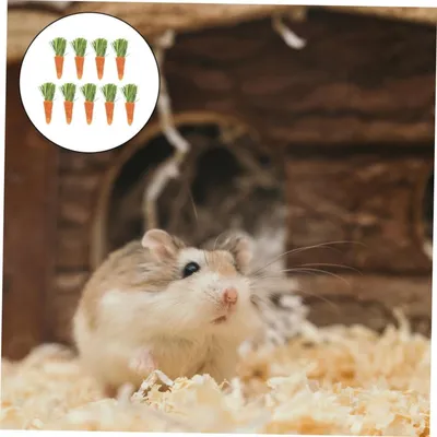 PetTribes - 9 Jouets à Mâcher Carotte Lapin Hamster Naturels PetTribes - 9 Jouets à Mâcher Carotte Lapin Hamster Naturels
