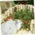 PetTribes - 9 Jouets à Mâcher Carotte Lapin Hamster Naturels PetTribes - 9 Jouets à Mâcher Carotte Lapin Hamster Naturels