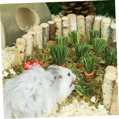 PetTribes - 9 Jouets à Mâcher Carotte Lapin Hamster Naturels PetTribes - 9 Jouets à Mâcher Carotte Lapin Hamster Naturels