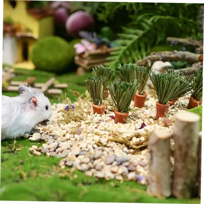 PetTribes - 9 Jouets à Mâcher Carotte Lapin Hamster Naturels PetTribes - 9 Jouets à Mâcher Carotte Lapin Hamster Naturels