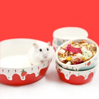 ZooVenture Bol Ceramique Petit Animal Bleu Rouge ZooVenture Bol Ceramique Petit Animal Bleu Rouge