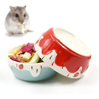 ZooVenture Bol Ceramique Petit Animal Bleu Rouge ZooVenture Bol Ceramique Petit Animal Bleu Rouge