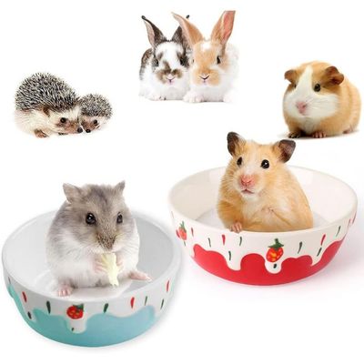 ZooVenture Bol Ceramique Petit Animal Bleu Rouge