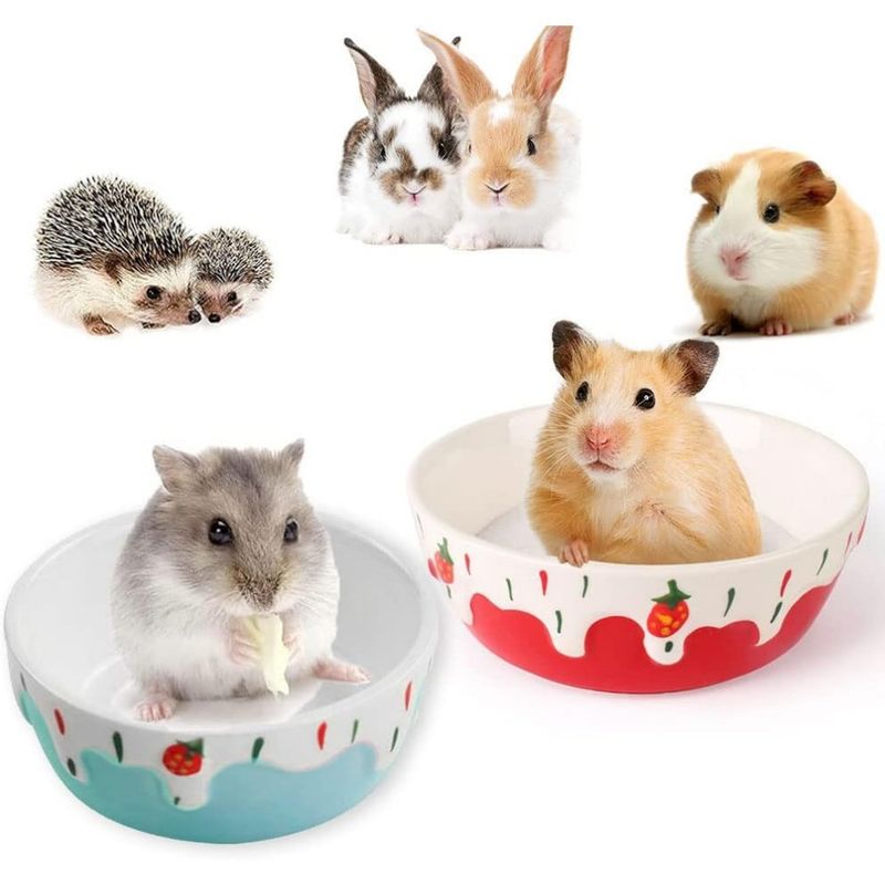 ZooVenture Bol Ceramique Petit Animal Bleu Rouge
