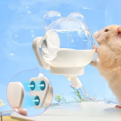 ZooVenture Biberon Eau Hamster Aimant Compact
