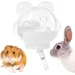 ZooVenture Nagetier Wasserflasche Magnet Kompakt