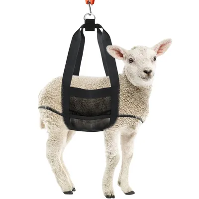 FurryFusion Sac de pesée pour animaux domestiques FurryFusion Sac de pesée pour animaux domestiques