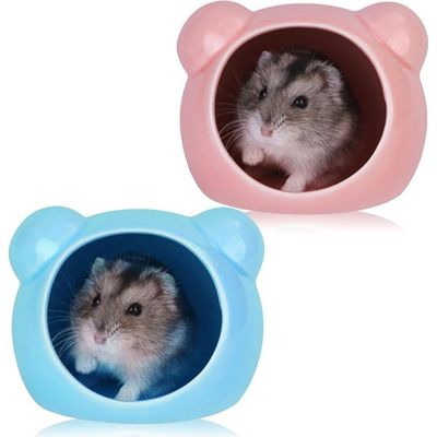 ZooVenture Lot 2 Refuges Hamster Ceramique Bleu Rose